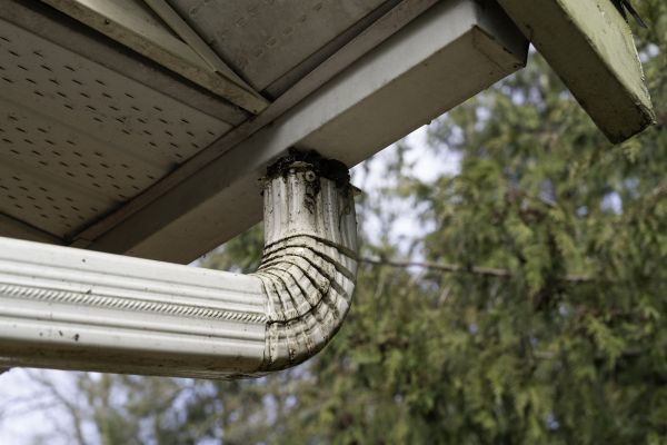 Cost of Roof Drain Replacement in Roseville