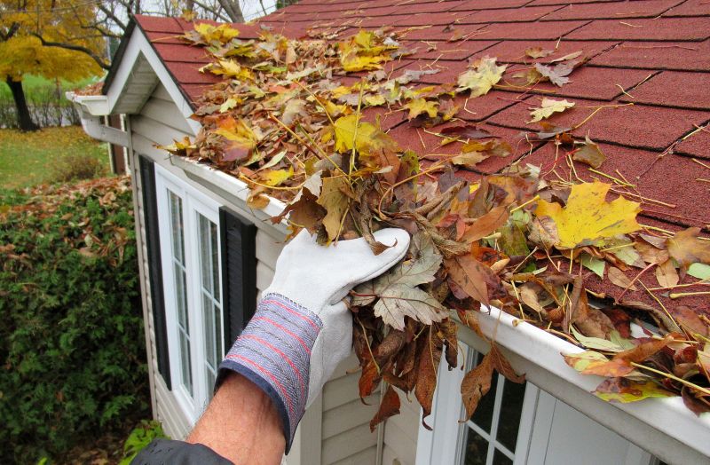 Leaf Debris Removal